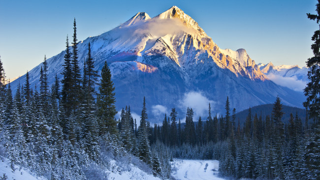 Обои картинки фото природа, зима, alberta, banff, national, park, канада, небо, горы, деревья, снег, ель, склон, закат, дорога