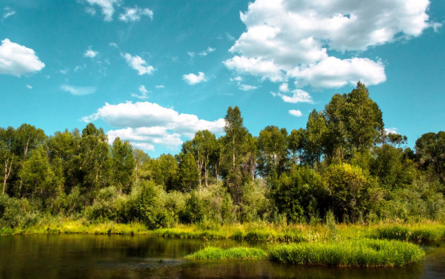 Обои картинки фото природа, реки, озера, берег, деревья, река, лес, облака, небо, зелень, лето