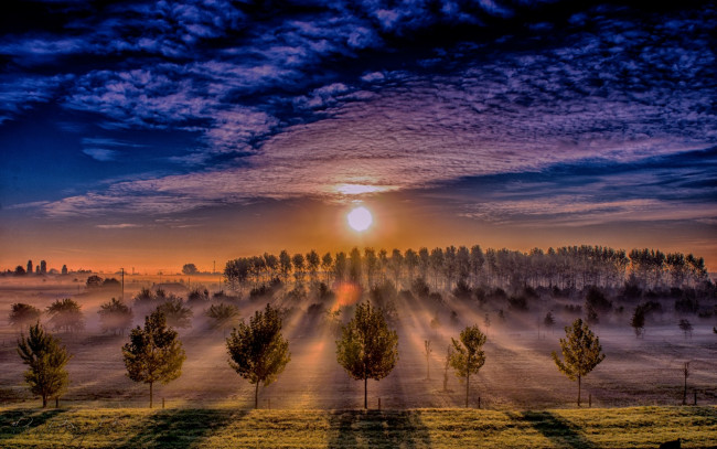 Обои картинки фото природа, восходы, закаты, закат, небо, поле, туман