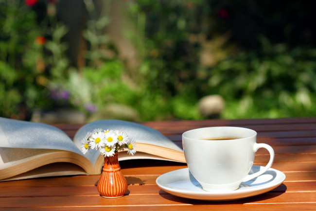 Обои картинки фото еда, напитки,  Чай, ромашки, чашка, книга