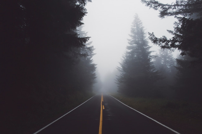 Обои картинки фото природа, дороги, лес, дорога, дымка, туман
