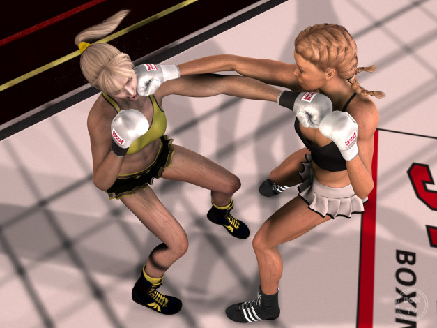 Обои картинки фото 3д графика, спорт , sport, бокс, взгляд, девушки, фон, ринг