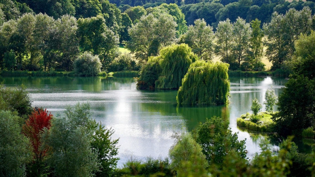 Обои картинки фото природа, реки, озера, река, деревья