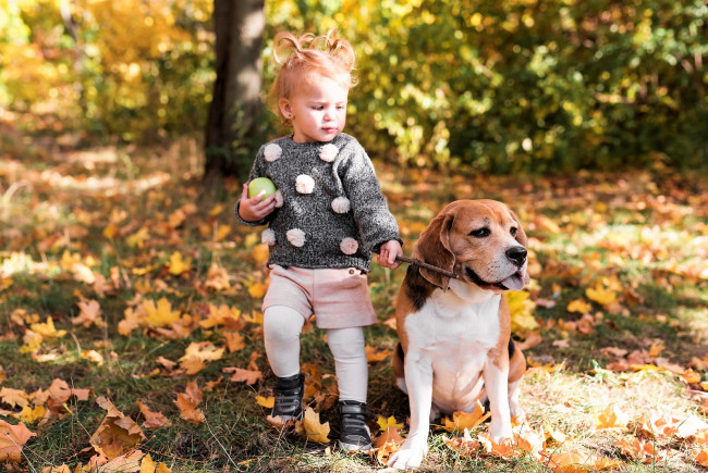 Обои картинки фото разное, дети, девочка, яблоко, собака, листья, осень