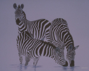 Картинка рисованные животные зебры