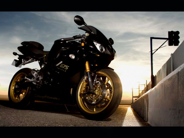 Обои картинки фото мотоциклы, triumph