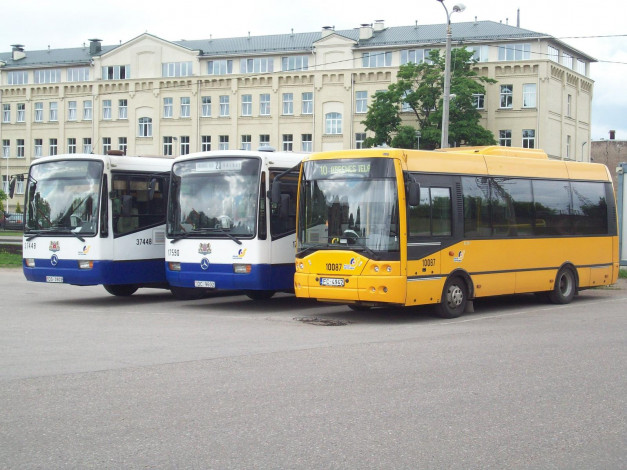 Обои картинки фото рижские, автобусы, автомобили
