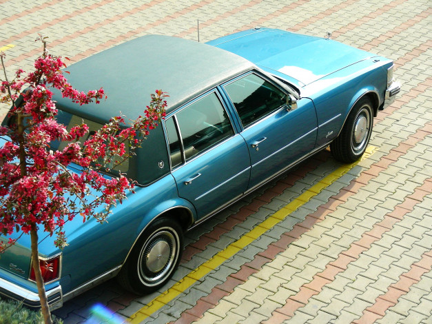 Обои картинки фото автомобили, cadillac, seville