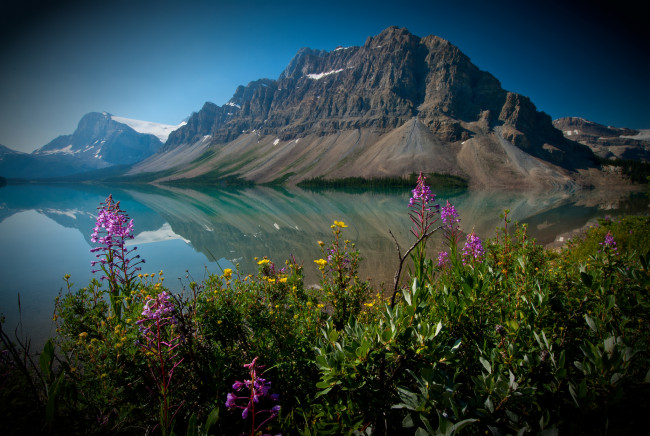 Обои картинки фото bow, lake, alberta, canada, природа, горы, crowfoot, mountain, banff, national, park, банф, озеро, боу, альберта, канада, цветы