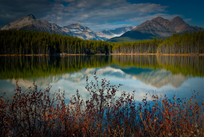 Обои картинки фото природа, реки, озера, канада, озеро, горы, отражение, лес, кусты