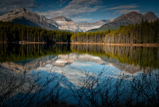 Обои картинки фото природа, реки, озера, лес, канада, озеро, горы, отражение, кусты