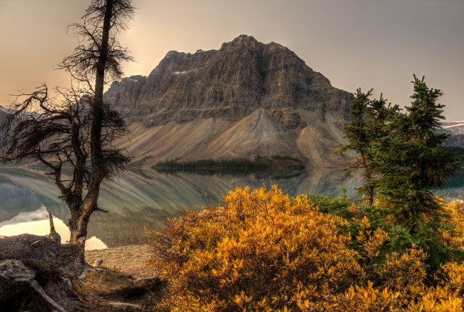 Обои картинки фото bow, lake, alberta, canada, природа, горы, банф, озеро, боу, альберта, канада, кусты, crowfoot, mountain, banff, national, park