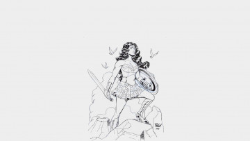 Картинка рисованные минимализм девушка взгляд щит меч