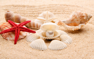 обоя разное, ракушки,  кораллы,  декоративные и spa-камни, песок
