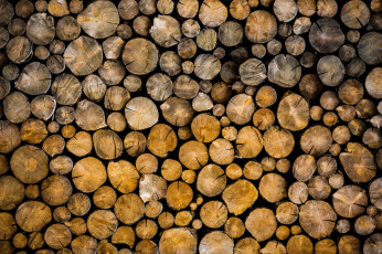 Картинка разное текстуры дрова