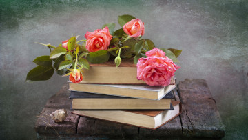 Картинка разное канцелярия +книги ракушка розы книги