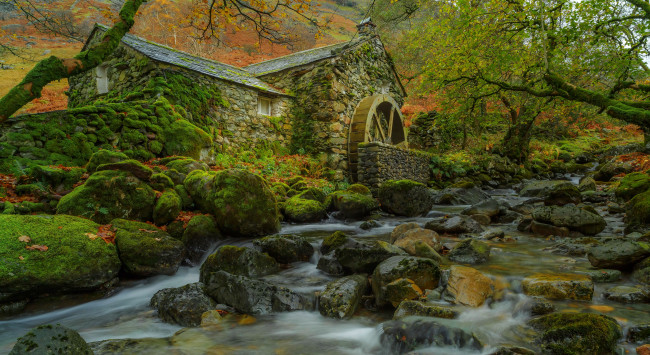 Обои картинки фото разное, мельницы, листья, осень, водяная, мельница, деревья, ручей, камни, мох