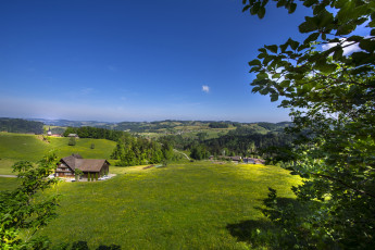 Картинка switzerland +st gallen+hill+branches города -+пейзажи дома швейцария луга деревья холмы