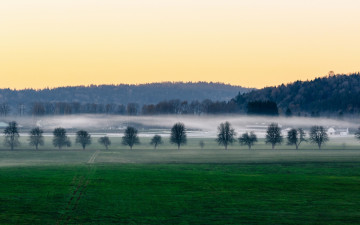 Картинка природа поля холмы туман деревья