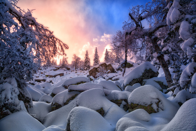 Обои картинки фото природа, зима, ель, снег, закат