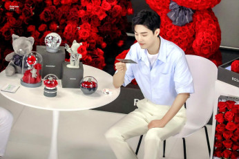 Картинка мужчины xiao+zhan актер розы фигурки презентация стол карточка