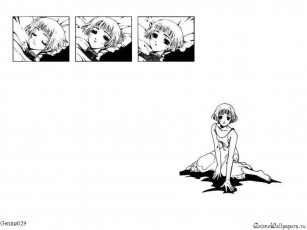 Картинка аниме clover