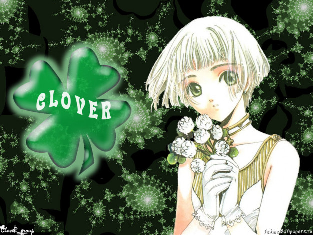 Обои картинки фото аниме, clover