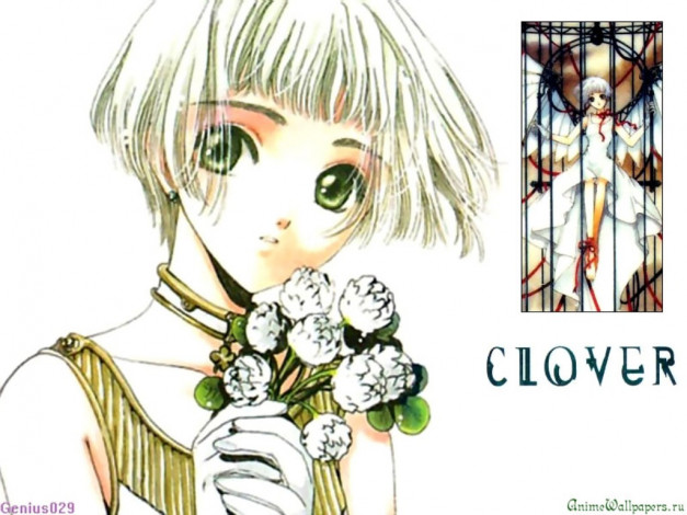 Обои картинки фото аниме, clover