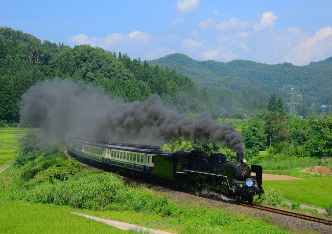 Обои картинки фото техника, паровозы, локомотив, лес, поворот, дым