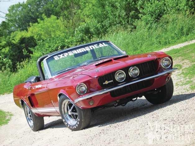 Обои картинки фото автомобили, mustang, shelby