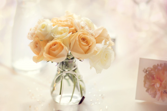 Обои картинки фото цветы, розы, букет, элегантность