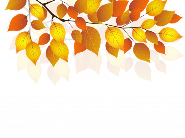 Обои картинки фото векторная графика, природа, twigs, белый, фон, осень, листья, веточка, autumn, white, background, leaves