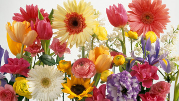 Картинка цветы разные+вместе тюльпаны эустома ирис герберы