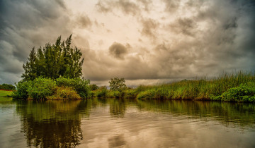 Картинка природа реки озера тучи деревья кусты пасмурно небо трава тропики пруд