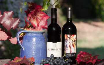 Картинка еда напитки +вино виноград гроздь листья ягоды кувшин бутылки вино