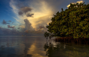 Картинка природа моря океаны водоем облака деревья