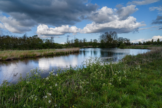 Обои картинки фото природа, реки, озера, трава, цветы, деревья, водоем, облака