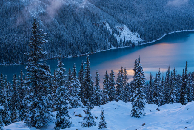 Обои картинки фото природа, зима, снег, ели, водоем