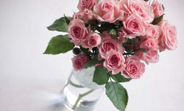 Картинка цветы розы букет розовые бутоны много