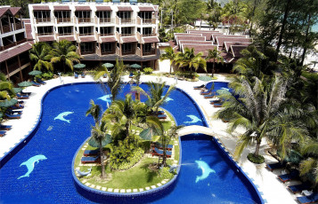 Картинка интерьер бассейны открытые площадки пальмы отель дельфины бассейн