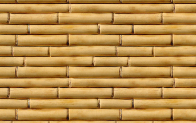 Текстура бамбука майнкрафт