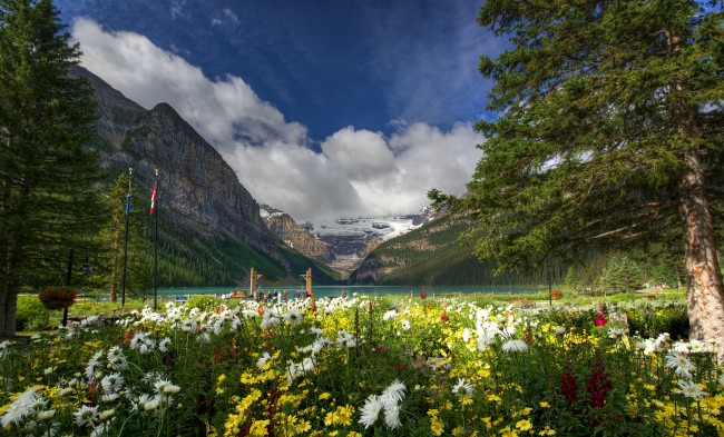Обои картинки фото banff, national, park, canada, природа, пейзажи, горы, озеро, цветы, деревья, lake, louise, канада