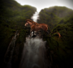 Картинка рисованные животные лошади лошадь водопад