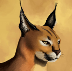 Картинка рисованные животные caracal