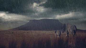 обоя животные, слоны, гора, дождь, молнии, гроза, саванна, детёныш, слонёнок