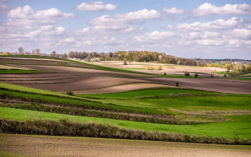 Картинка природа поля польша деревья деревня близ кракова весна