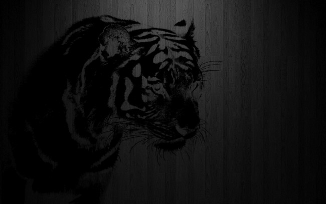Обои картинки фото 3д графика, животные , animals, тигр