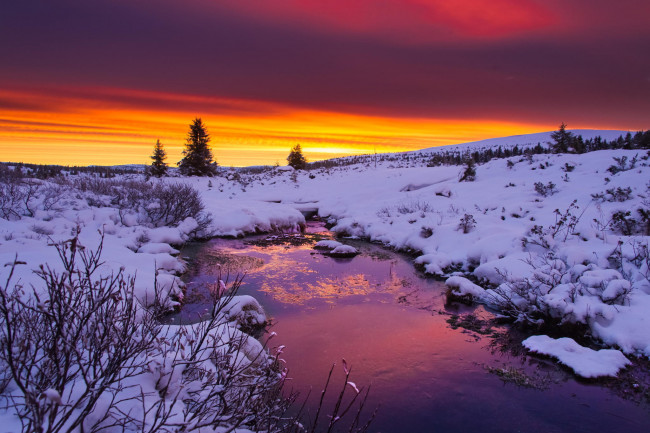 Обои картинки фото природа, восходы, закаты, закат, зима, вода, река, облака, снег, кусты, деревья