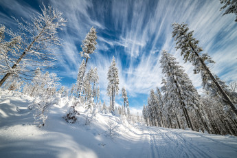 Картинка природа дороги снег лес дорога зима облака