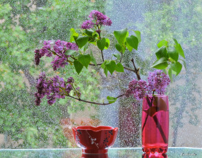 Картинка цветы сирень натюрморт фото настроение окно дождь